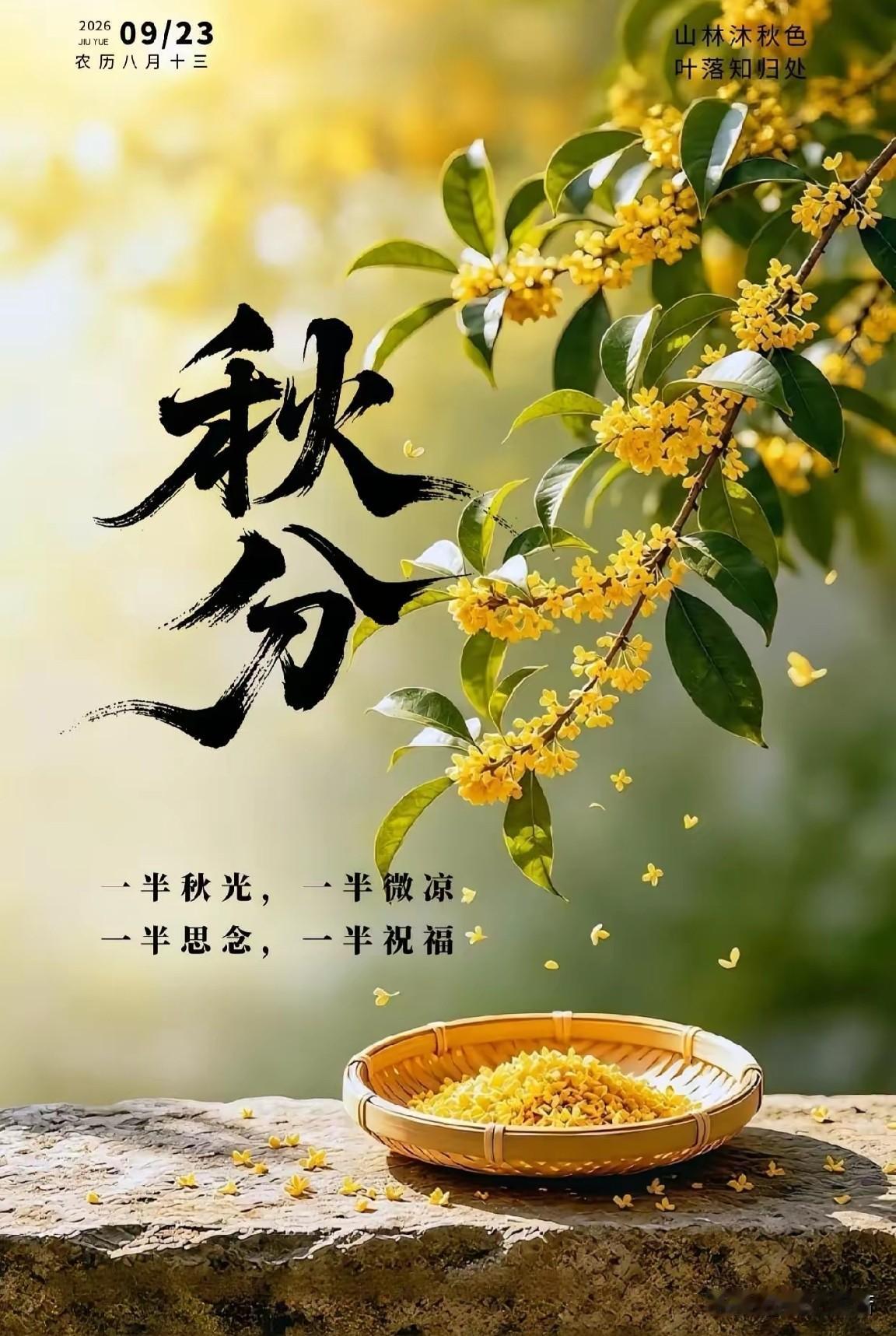秋分贴

             ——海之般若

倚靠在一棵树下晒太阳
泛黄的