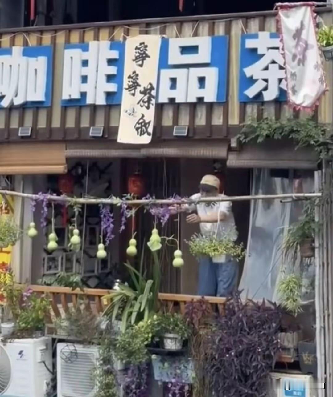 75岁老人亲手剪掉自家7只葫芦仅仅过去十几个小时，绍兴书圣故里临河的隔壁阳台，已
