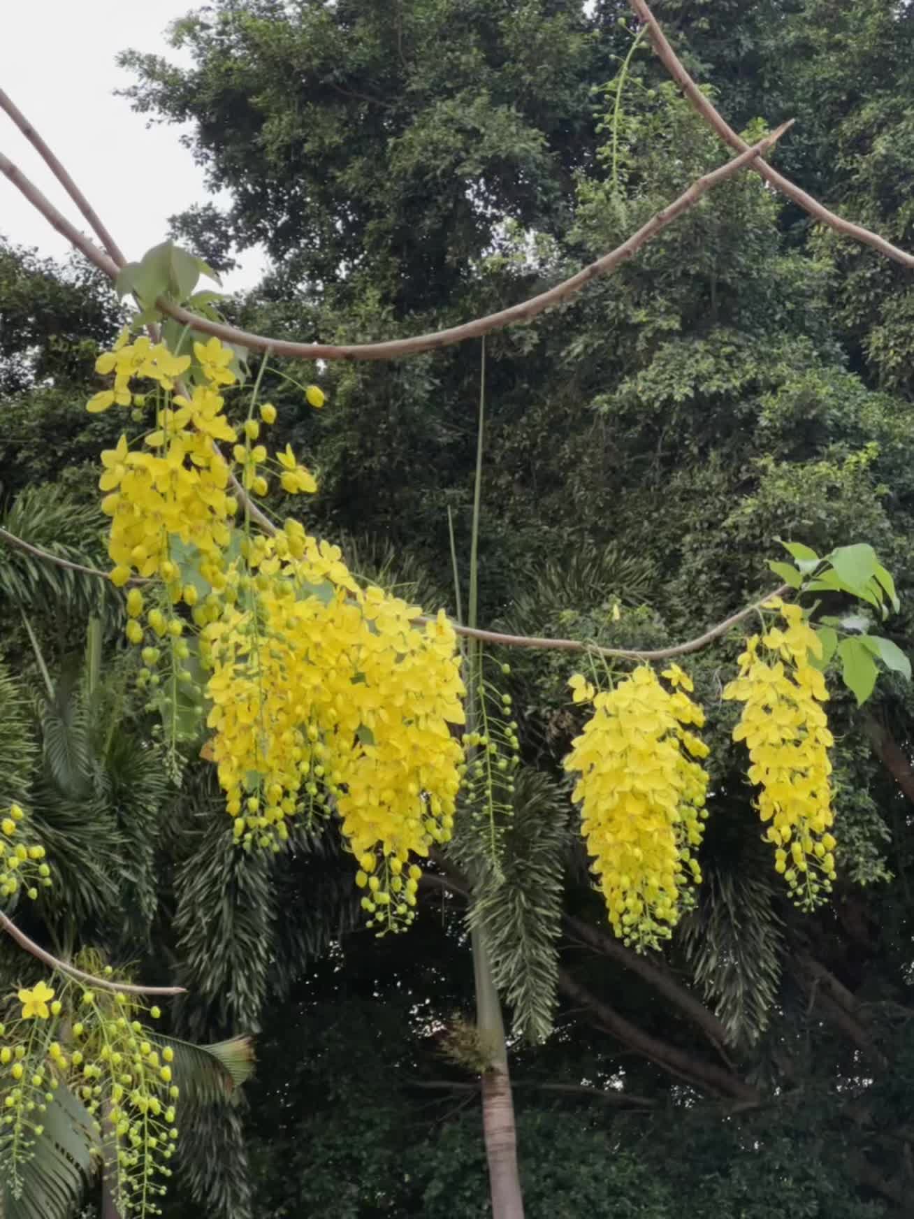 东台化妆师
