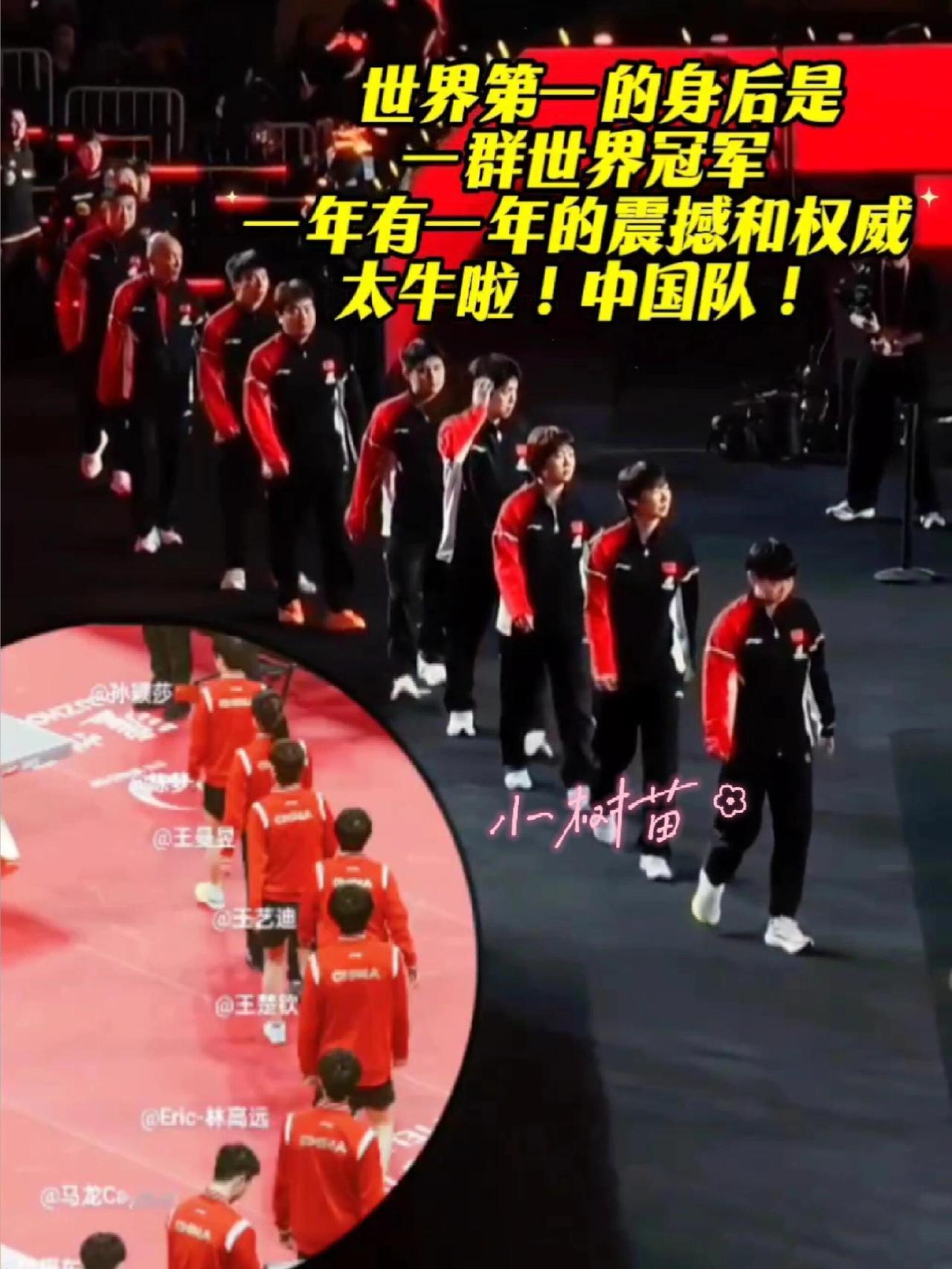 国乒的队伍，太震撼了，莎莎领队，怎么敢让她，还是肯定和重视，相信的力量，让人激动