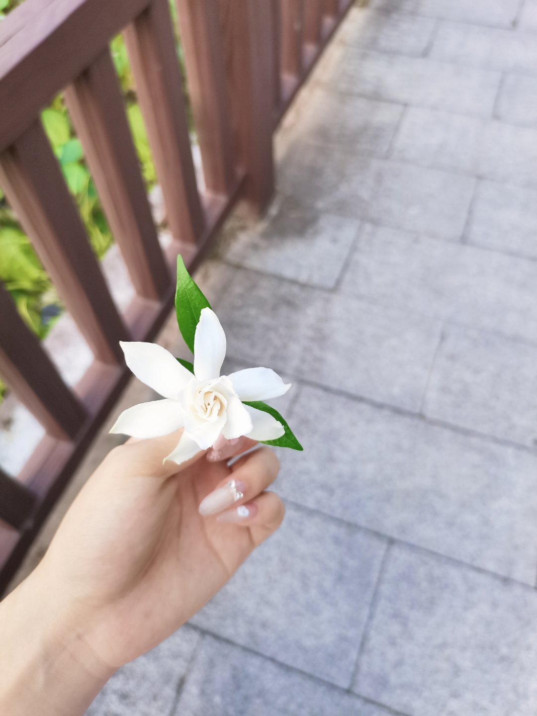 栀子花¯꒳¯好香好香
