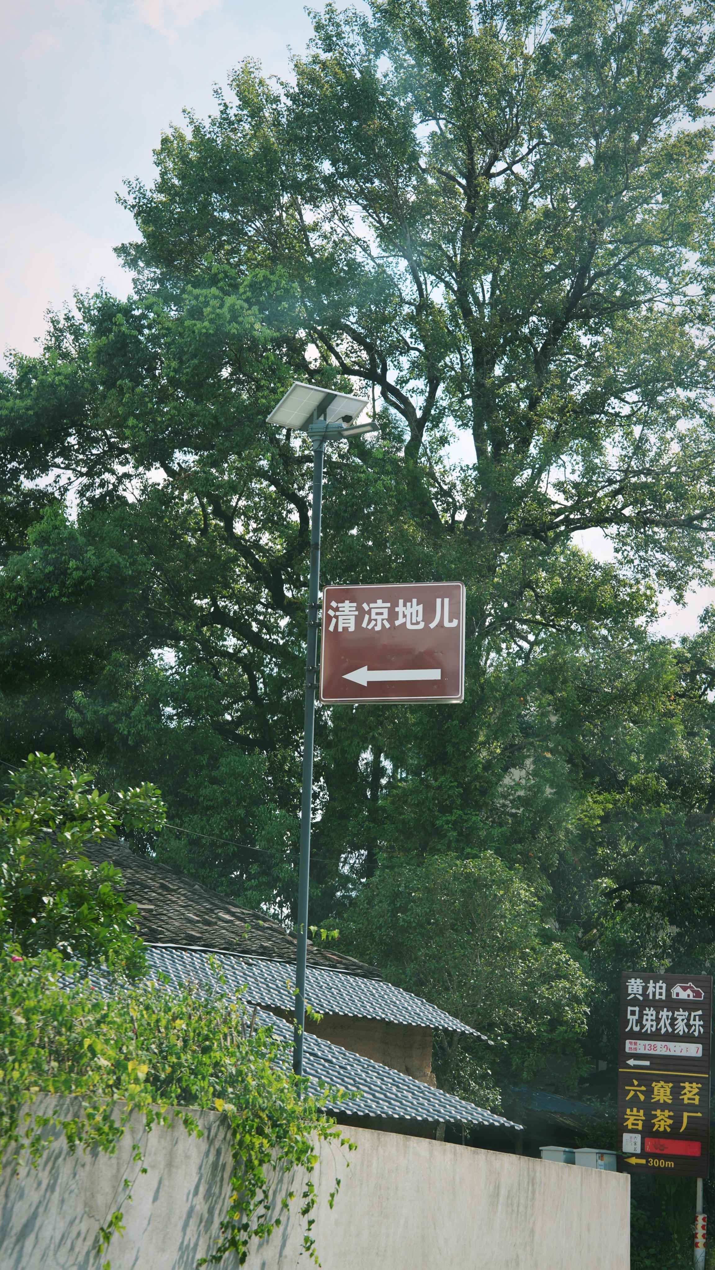 啊啊啊!!!我又见到它了，上一次见它还是前两年的珠海，当时听广播里说，它是临时从