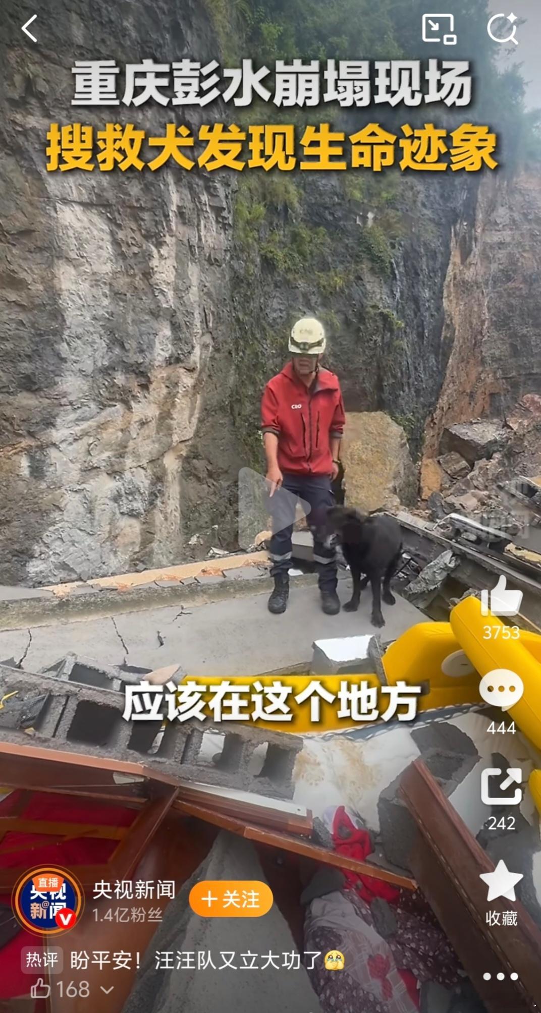 重庆山体崩塌现场发现生命迹象搜救犬真的太了不起了！希望能够传来好消息。搜救一切顺