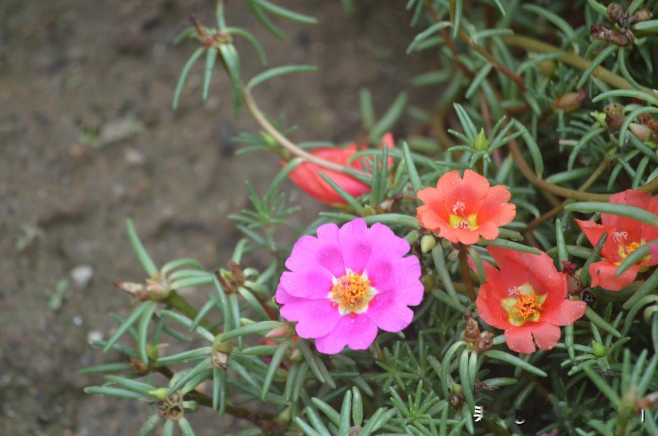 #女人给的要求你愿意接受吗?#
一般的可以接受，男人嘛，不管是远古打猎还是现如今