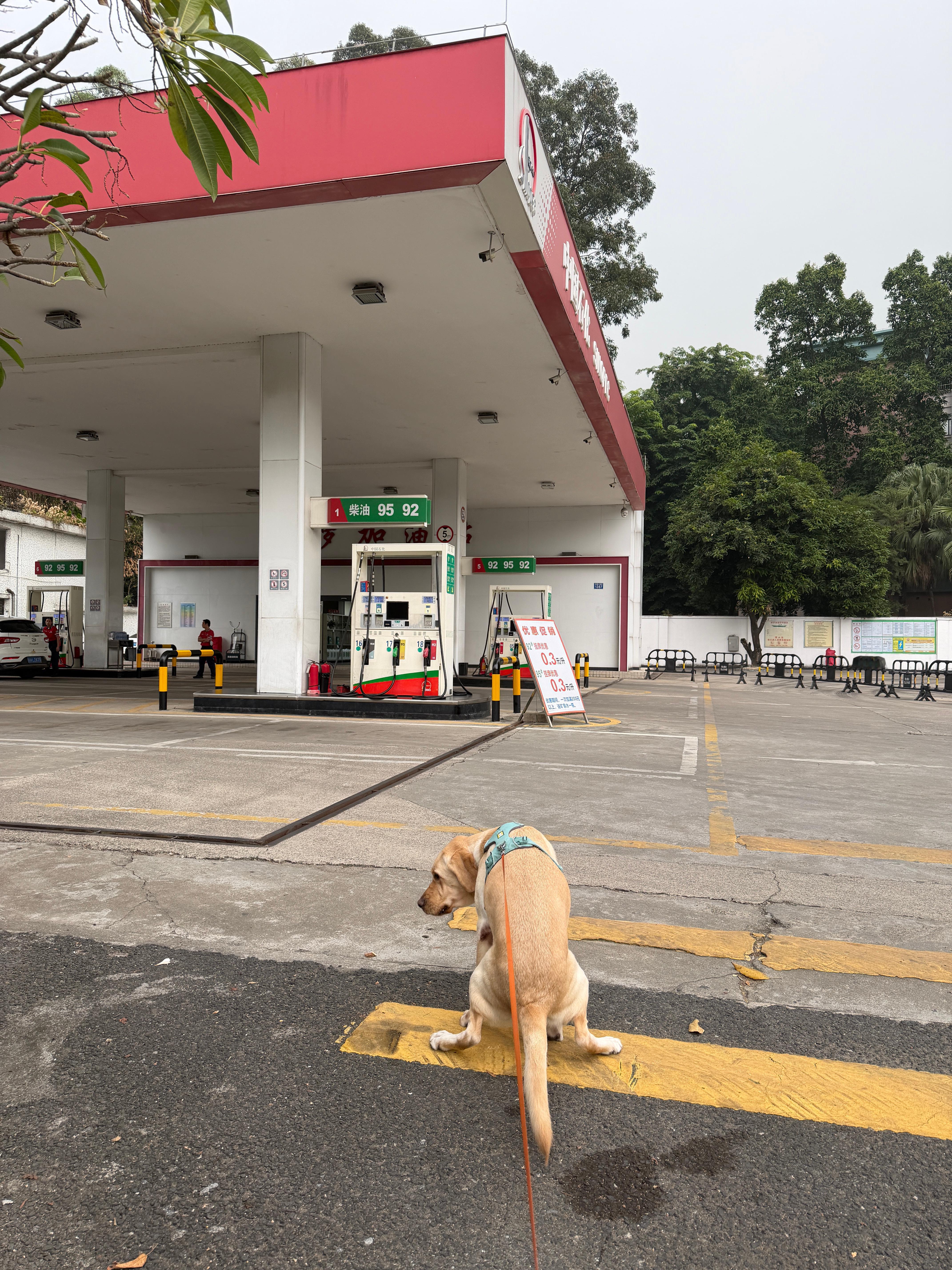 好好好又给我在加油站入口卸货三个工作人员看着我我想找个地缝钻进去广州周边真的好多