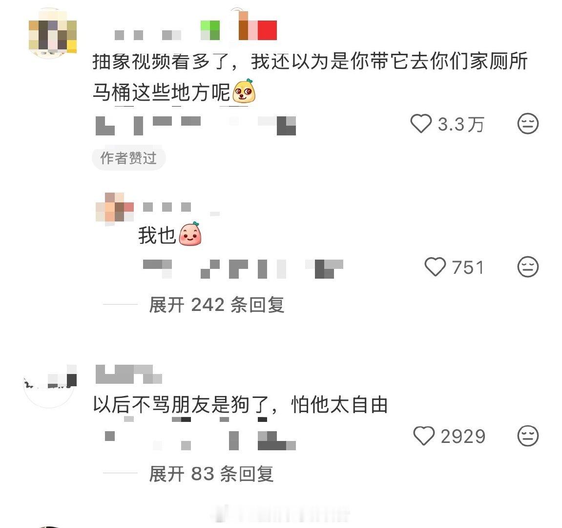当我决定带小狗看世界 （