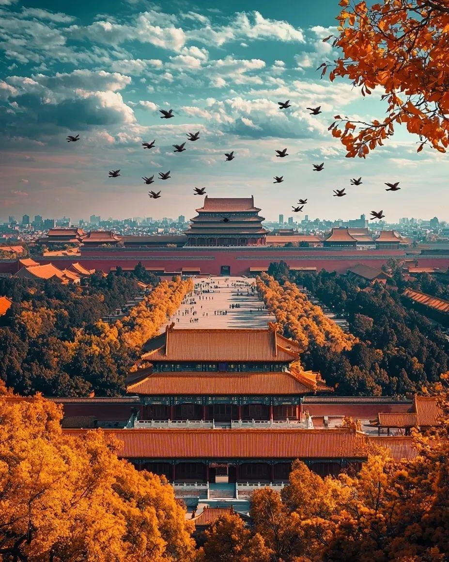 紫禁城，宛如一幅绚丽多彩的画卷。金黄的银杏叶与火红的枫叶，和红墙黄瓦相互映衬，色