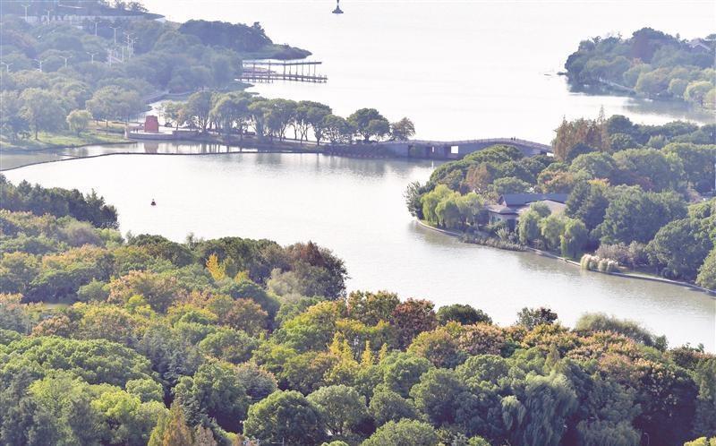 【斑斓秋色“上线”】10月22日拍摄的金城湾公园景色。金秋十月，锡城色彩斑斓，秋