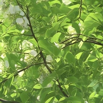 心存善良的人，他的言语，他的举动会像绵绵春雨般润物细无声，会像柔柔的春风般温暖人
