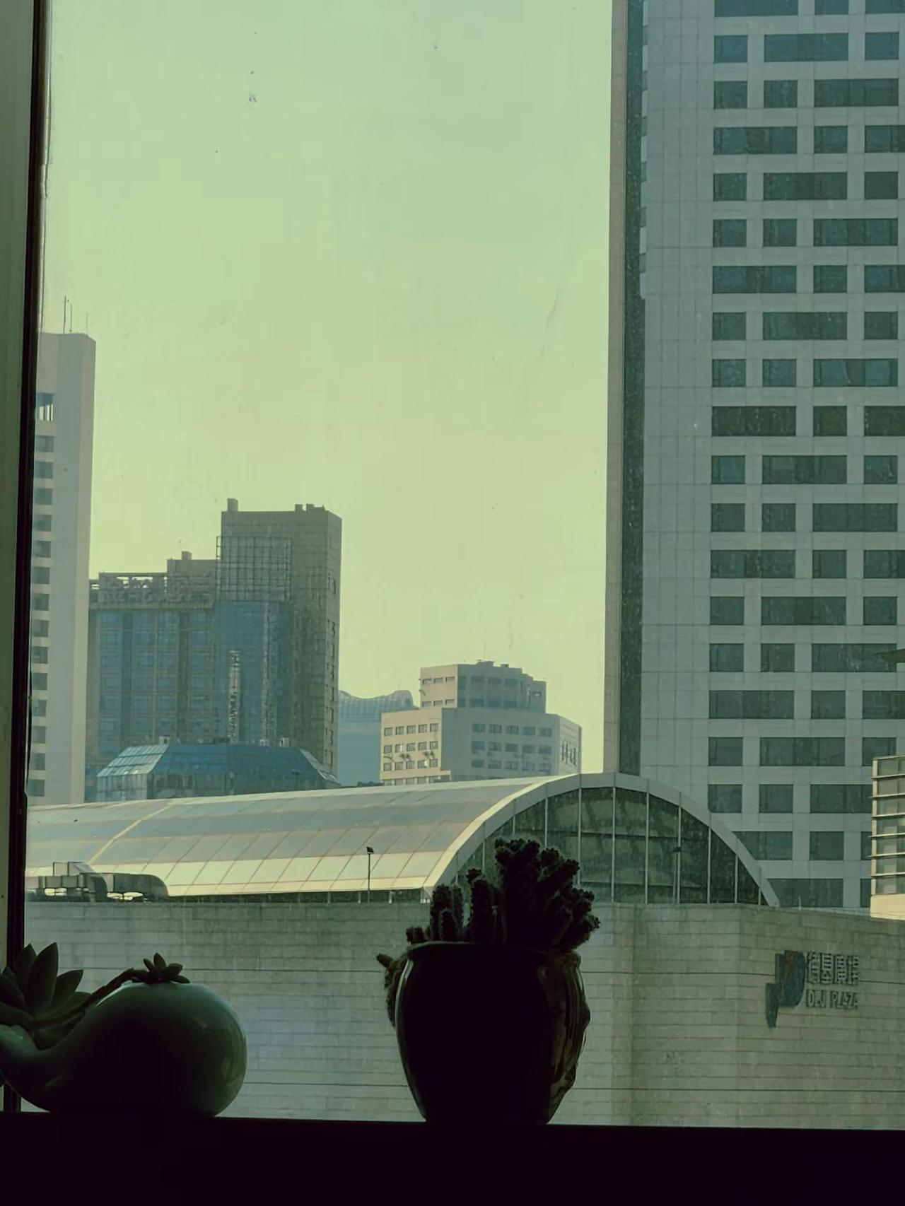 有很多话，最后都变成了“算了”。