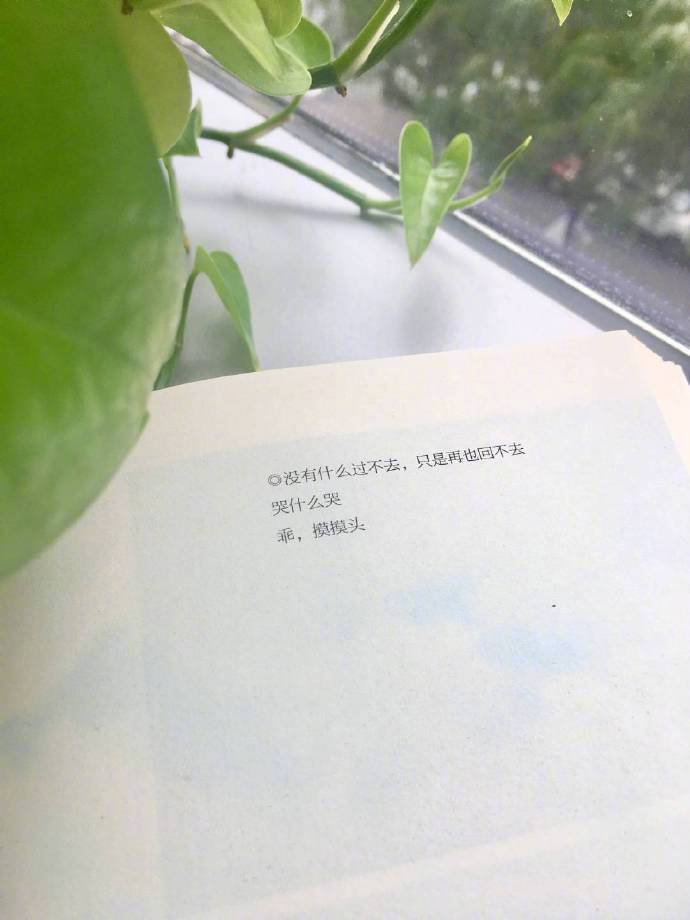 “没人告诉过我，很多人一辈子只能遇见一次，擦肩而过就是杳然一生”        
