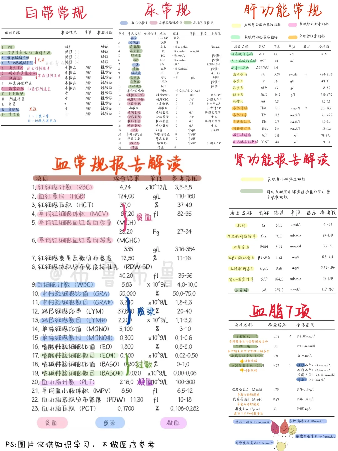医学生笔记——各类报告解读合集