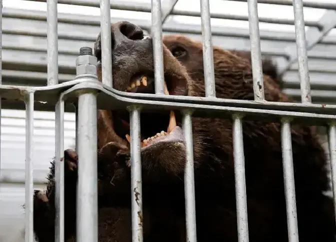 快讯！快讯！
 
美国驻日使馆突然发布了紧急安全提醒。
 
从4月开始，日本北部