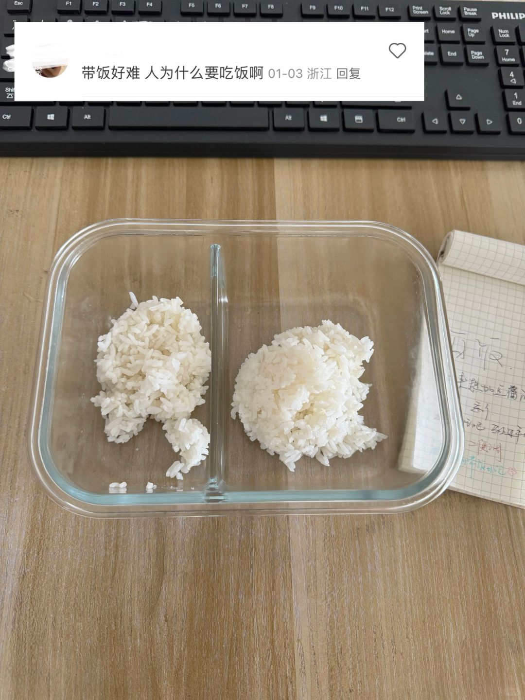 带饭462天，所以人为什么要吃饭呢？😅😅😅