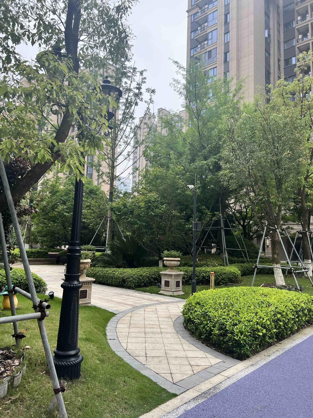 经常看到大家这样写道“闲来无事，寻一幽静处品茗赏花，或读书煮茶”。

每每看到这