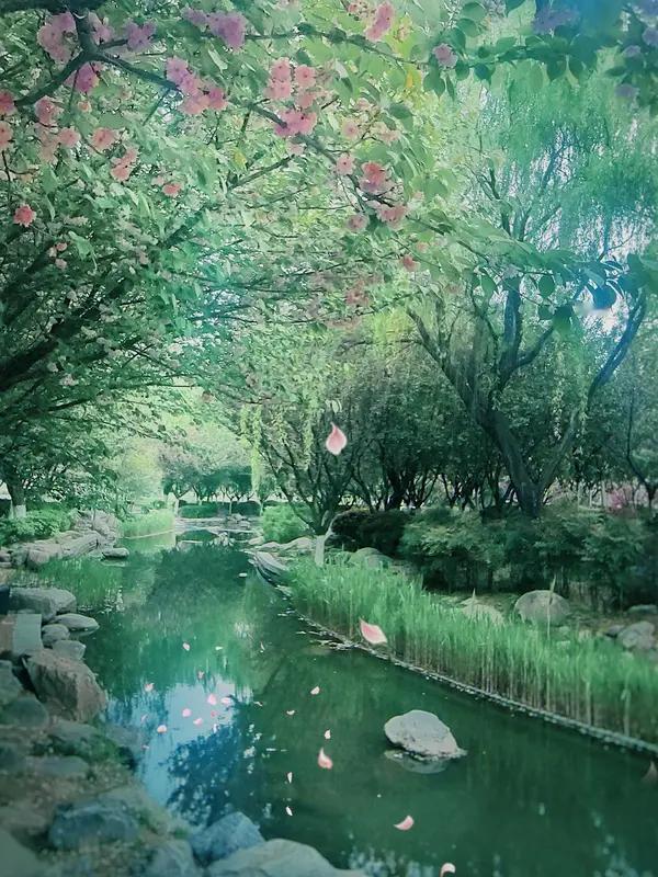 这两条互动评论，恰似文人之间的惺惺相惜！“淸荷莲语”点评诗友的佳作，称其构思精巧