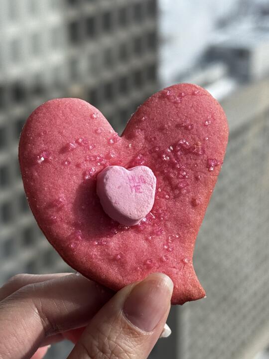 情人节Plog💗