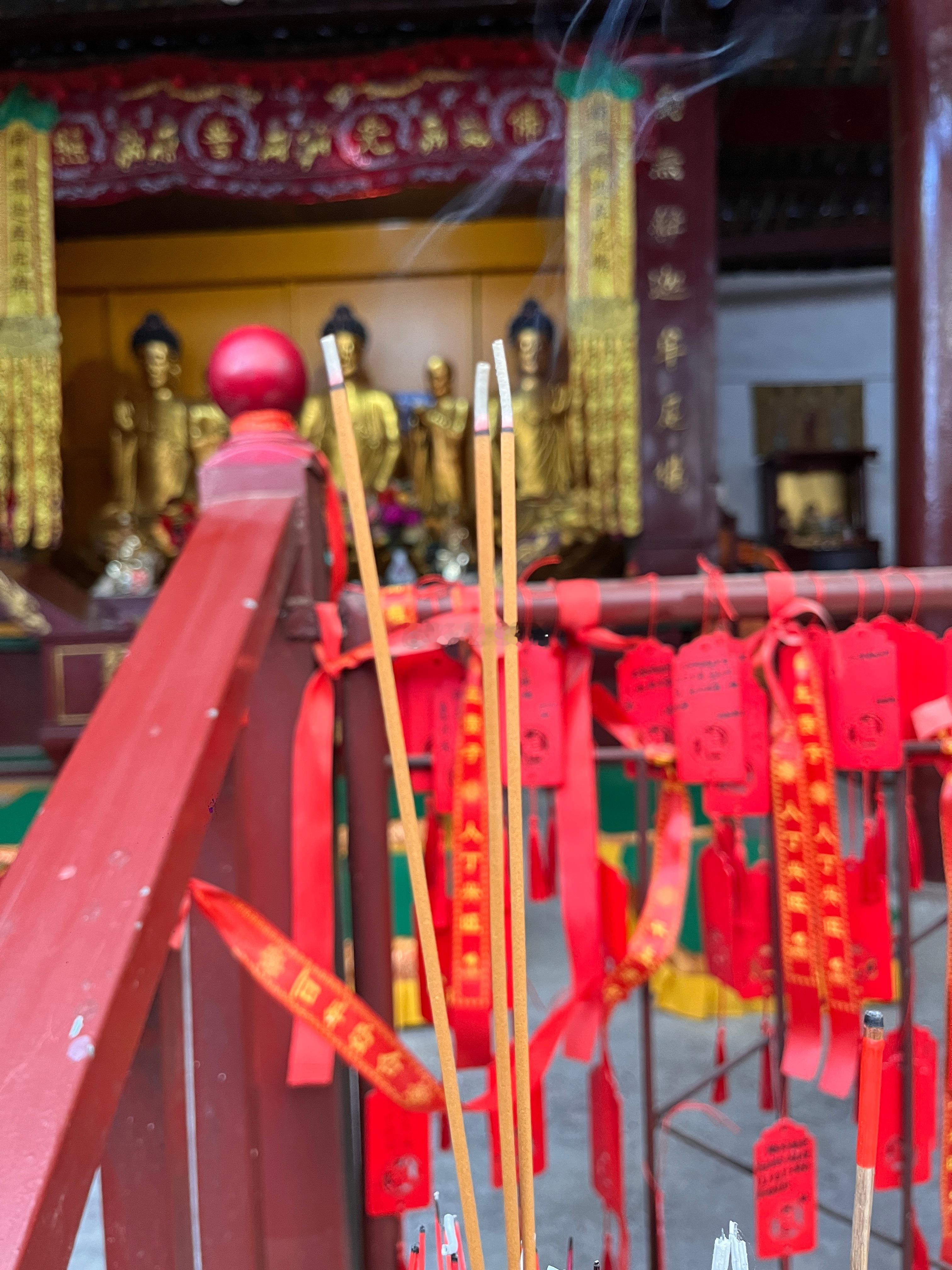 众生皆苦，不必再多添一份给自己。好运连连