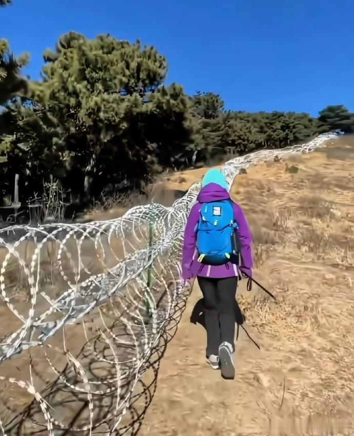 泰山疑被135公里刀片铁丝网围住无限热爱c 是刀片网误伤野生动物，破坏山地生态？