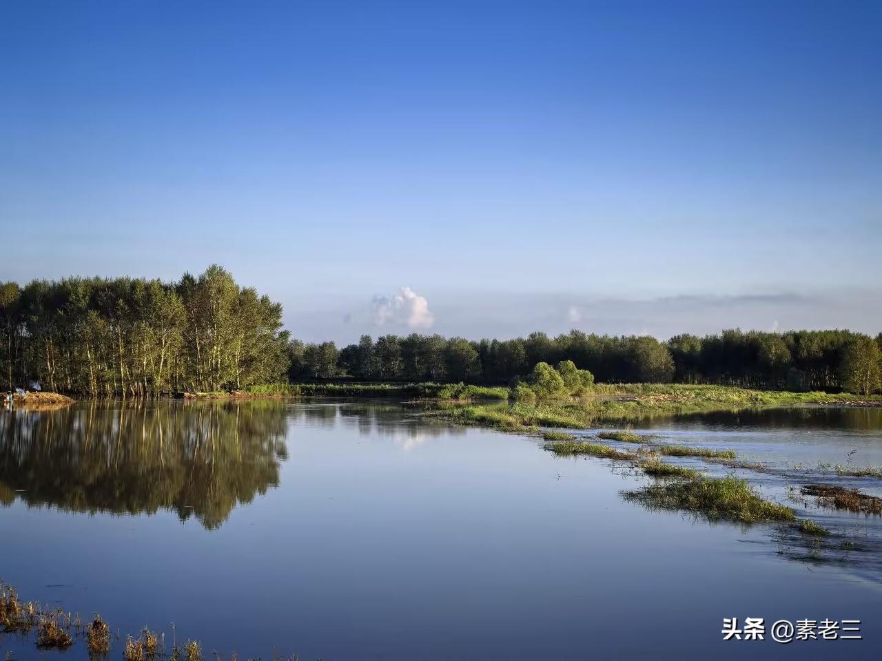 我遇到一个女人，嗷嗷地犟，犟的没有道理，气人呢！

小区里，总有来卖蔬菜的小商贩