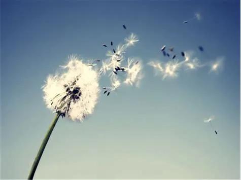 有一位要强的妈妈，孩子的感受如何？

苏轼的妈妈程夫人是个非常要强的妇人，她以眉