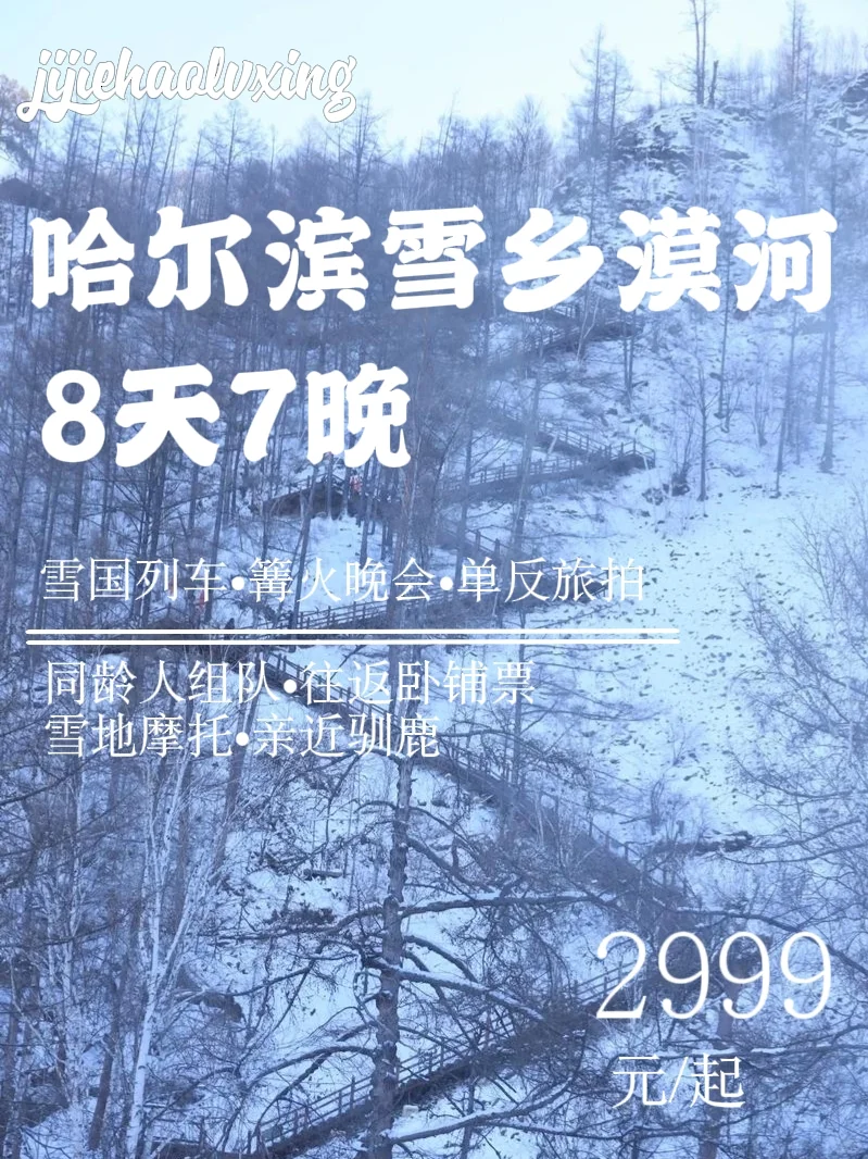 🌌哈尔滨+雪乡+漠河丨8天7晚✅宝藏路线