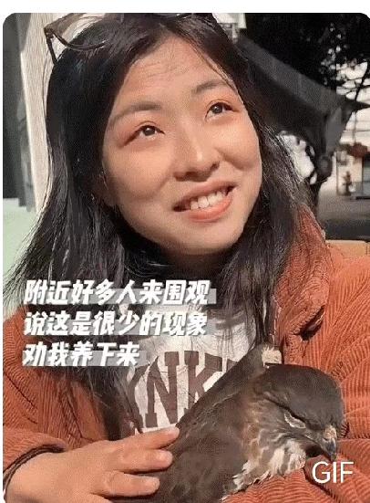野生游隼主动依偎四川女子！这幕暖心场景，藏着自然最纯粹的回应
 
万万没有想到，