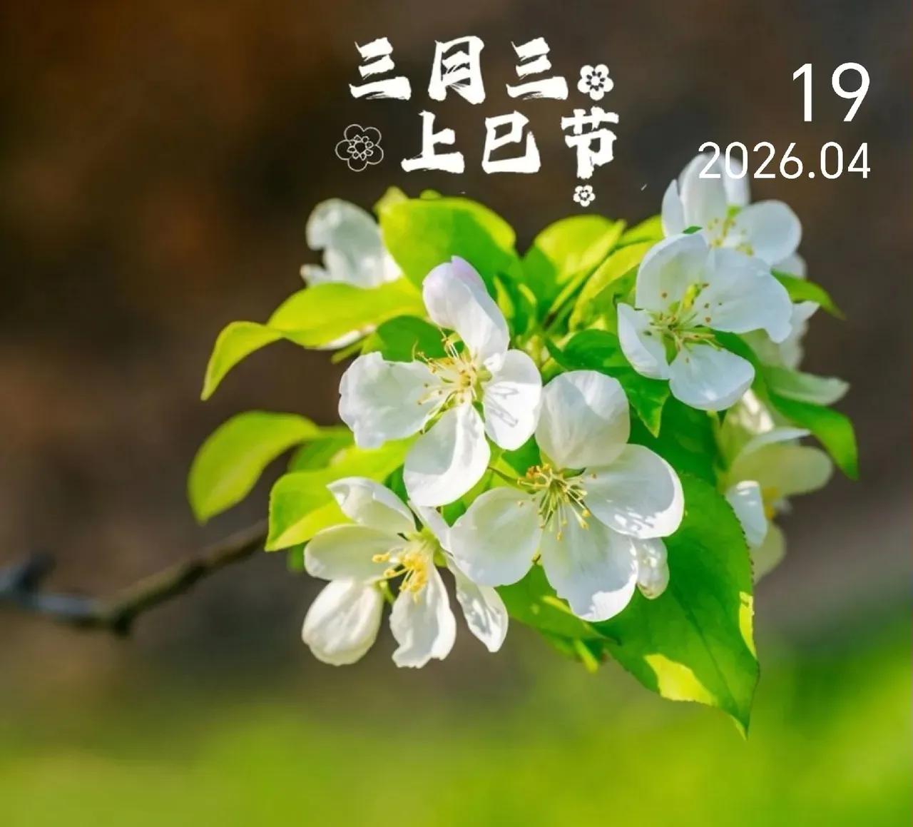 和风三月三，不负人间好时光

今天4月19日，恰逢农历三月初三，上巳节。成都的春