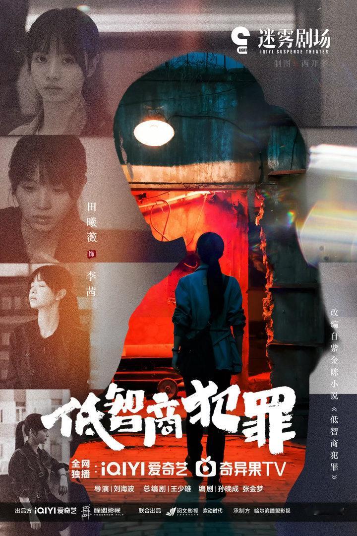 有时间不如期待低智商犯罪期待李茜宋威龙田曦薇 潮热雨季未解之谜