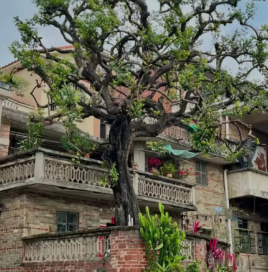 人生本就是一场无人替代的独行，来时一无所有，去时不带一物。

我们总在跌撞中认清