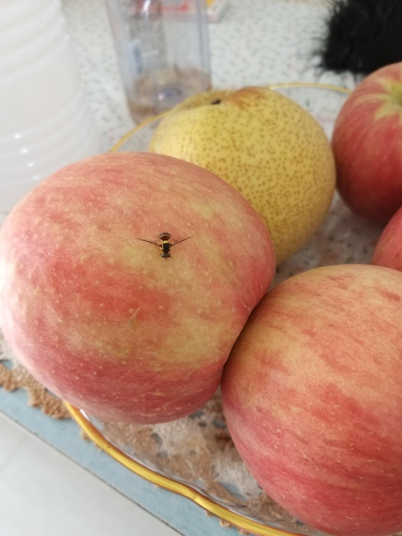 很多人吐槽说，
女人之间的友谊真的不值钱，
而男人之间的友谊是真能扛事的。
有人