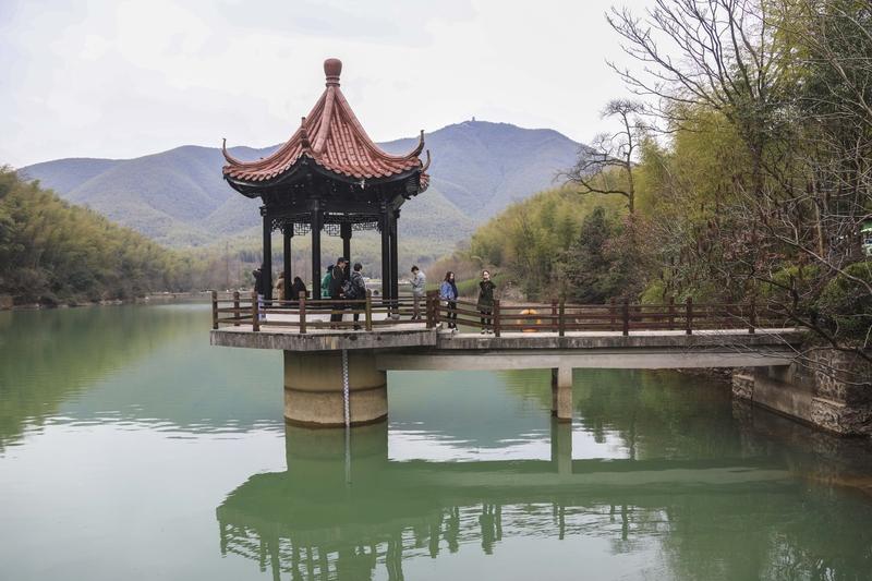 看到“清风拂竹海”这个上联，瞬间感觉有股清新雅致的气息扑面而来。清风轻柔地抚摸着