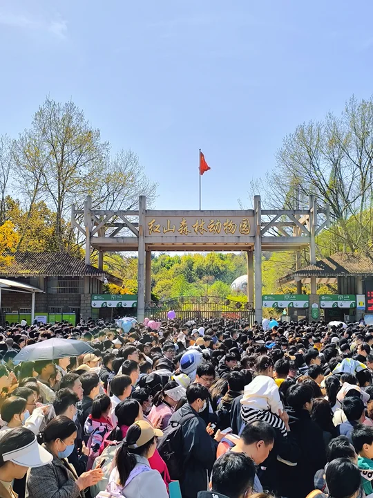 💥南京红山动物园12月将免费开放！附路线
