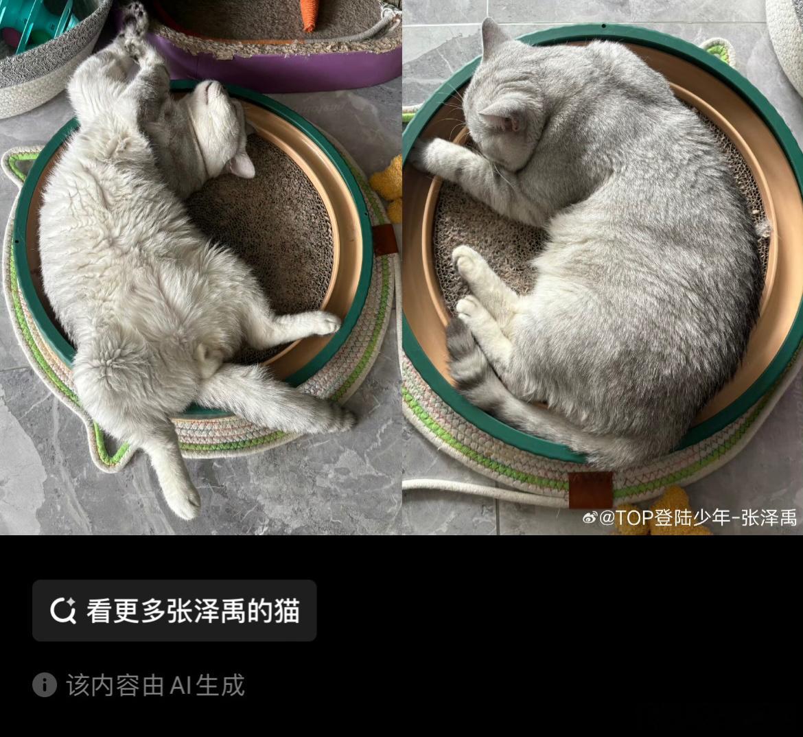 我不行了“该内容由AI生成”