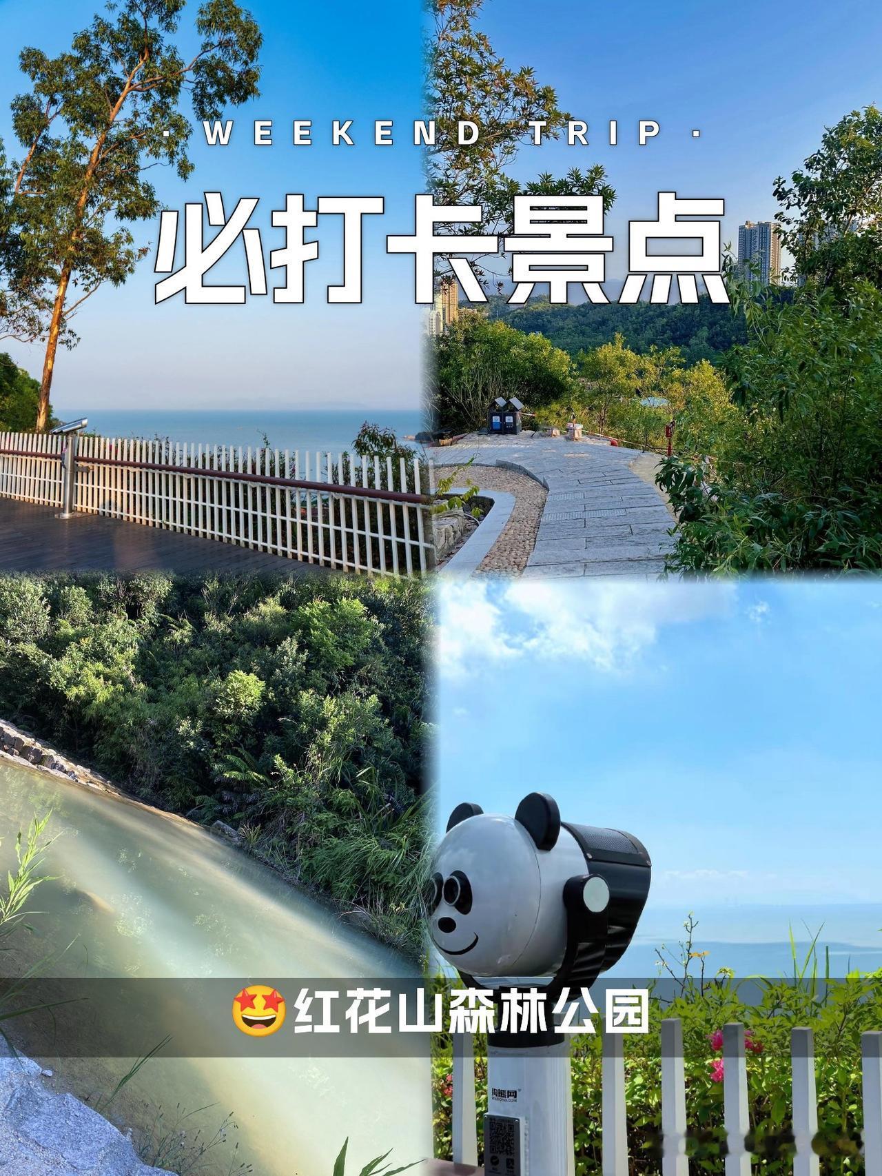 珠海红花山森林公园｜小众秘境徒步攻略

发现了一处藏在珠海的天然氧🌿！人少景美