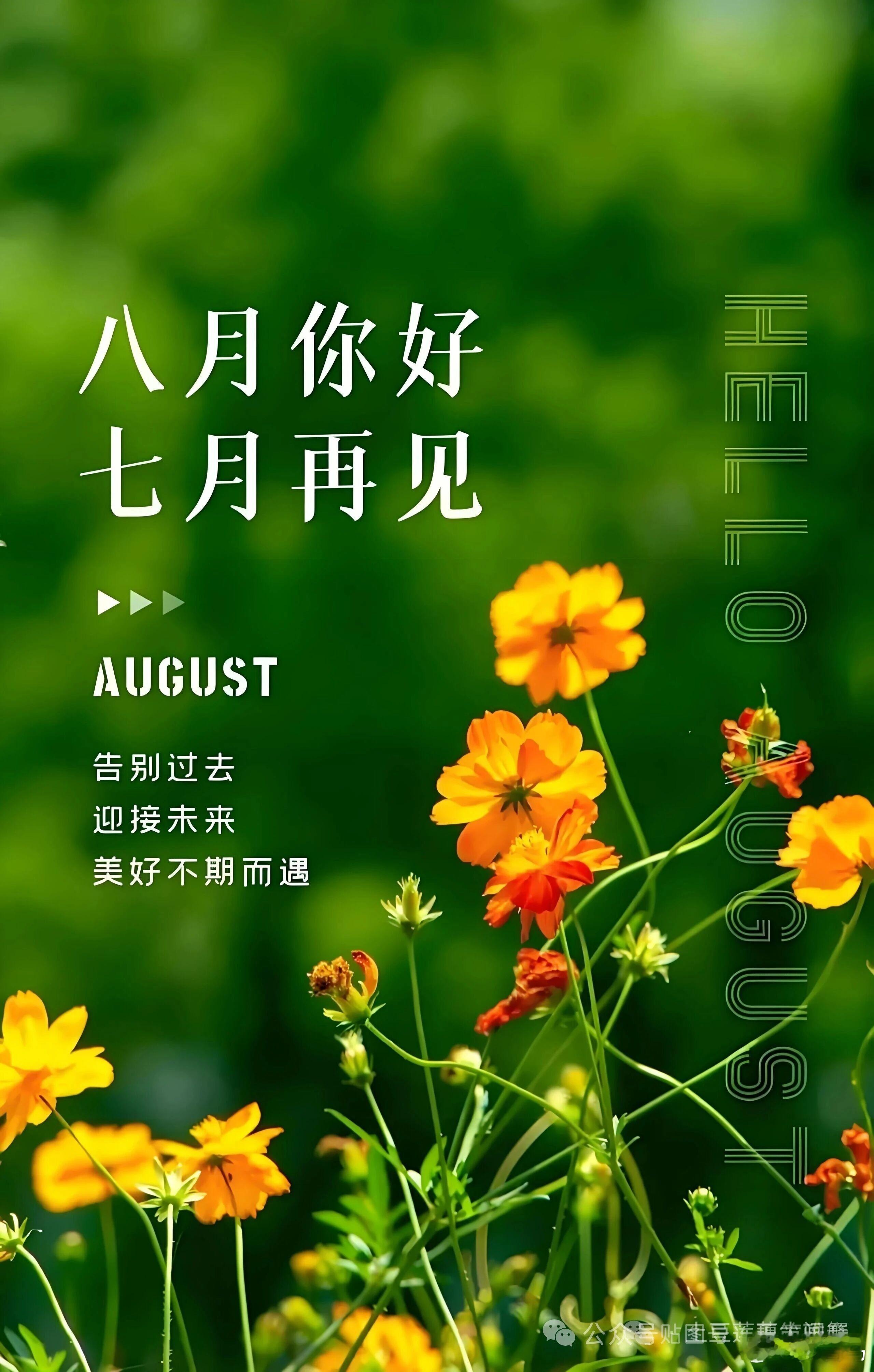 和七月好好道别，不纠结过往，不畏惧将来。八月，愿平安喜乐，诸事顺心。生活如诗读书