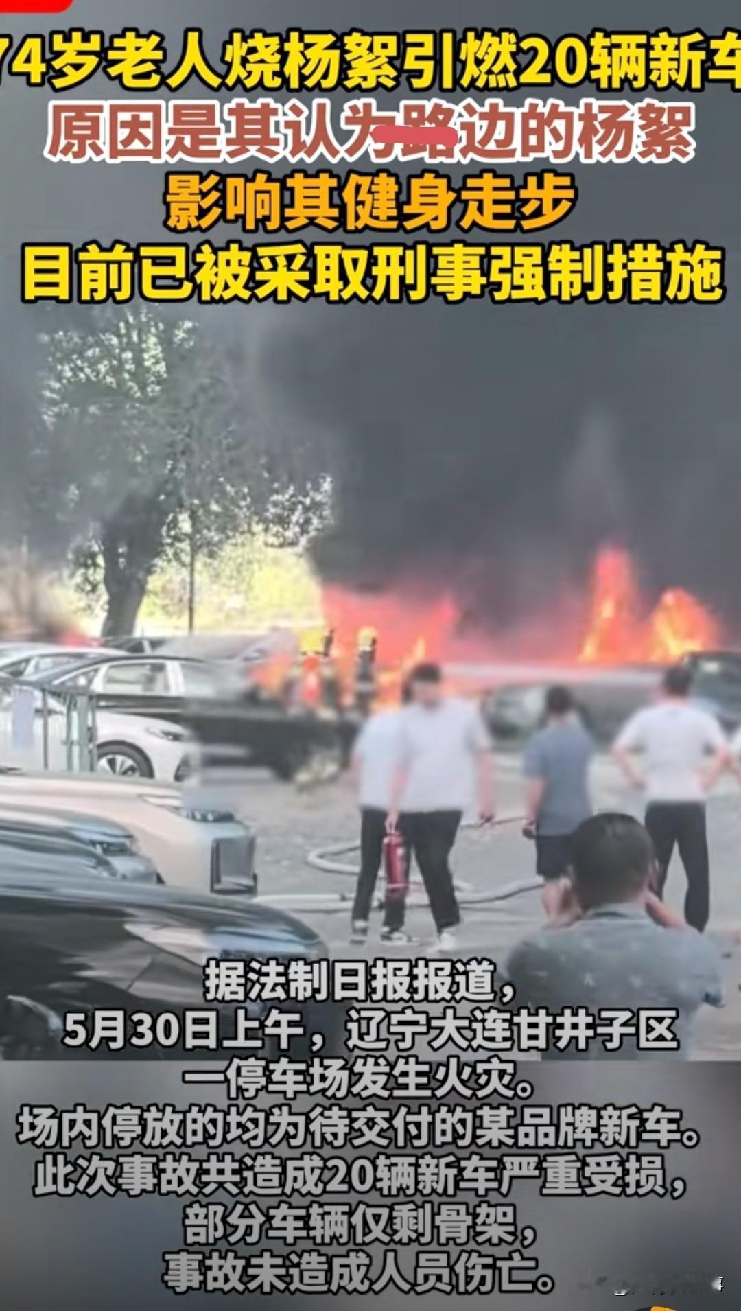 大连一74岁大爷肠子都悔青了！就因嫌路上杨絮碍眼，用打火机点了一下，轰的一声火舌