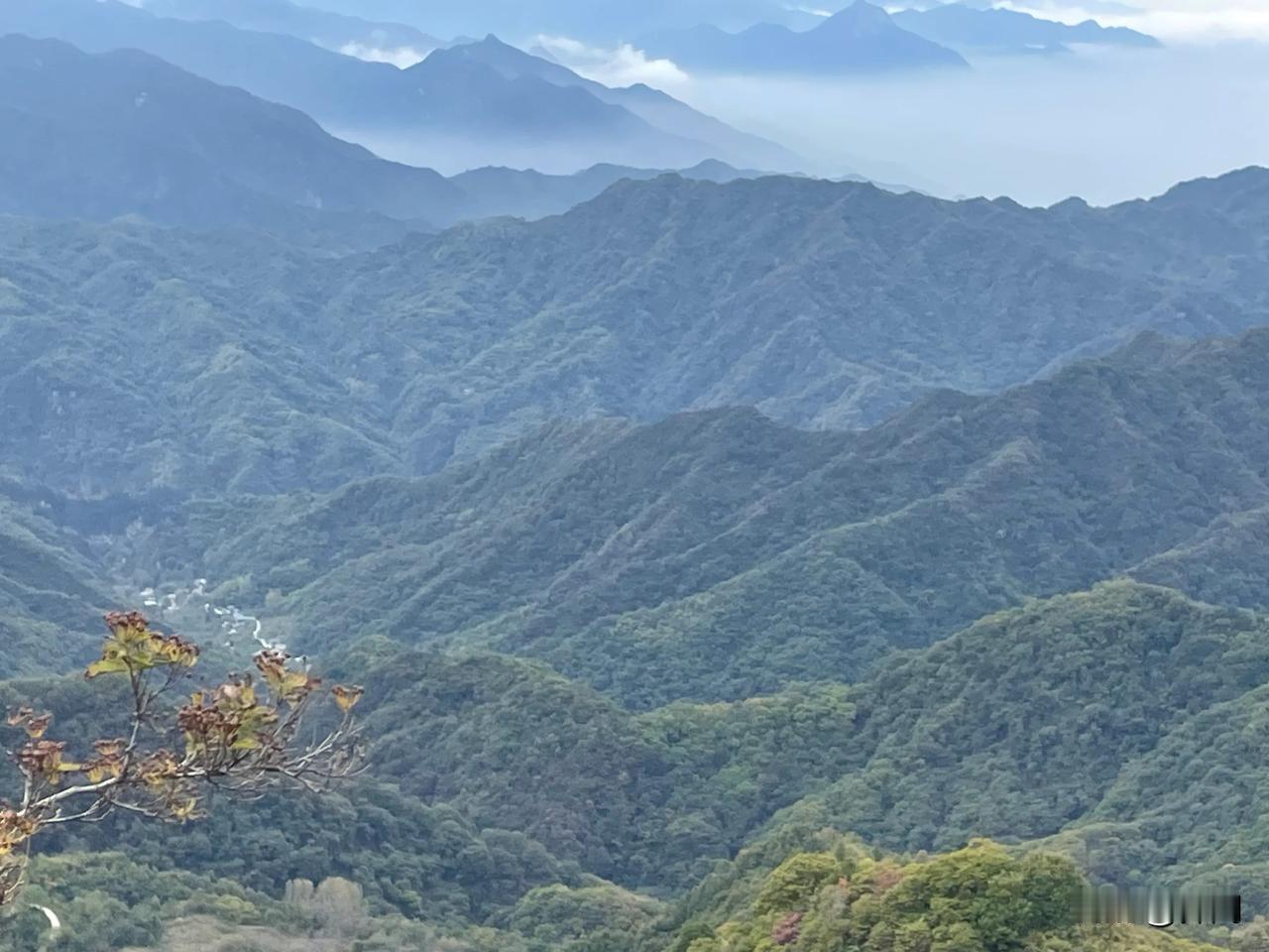 【七绝•秋风不语卷流年】
秋风不语卷流年，叶落无声卧地眠。
多少红尘多少梦，曾经