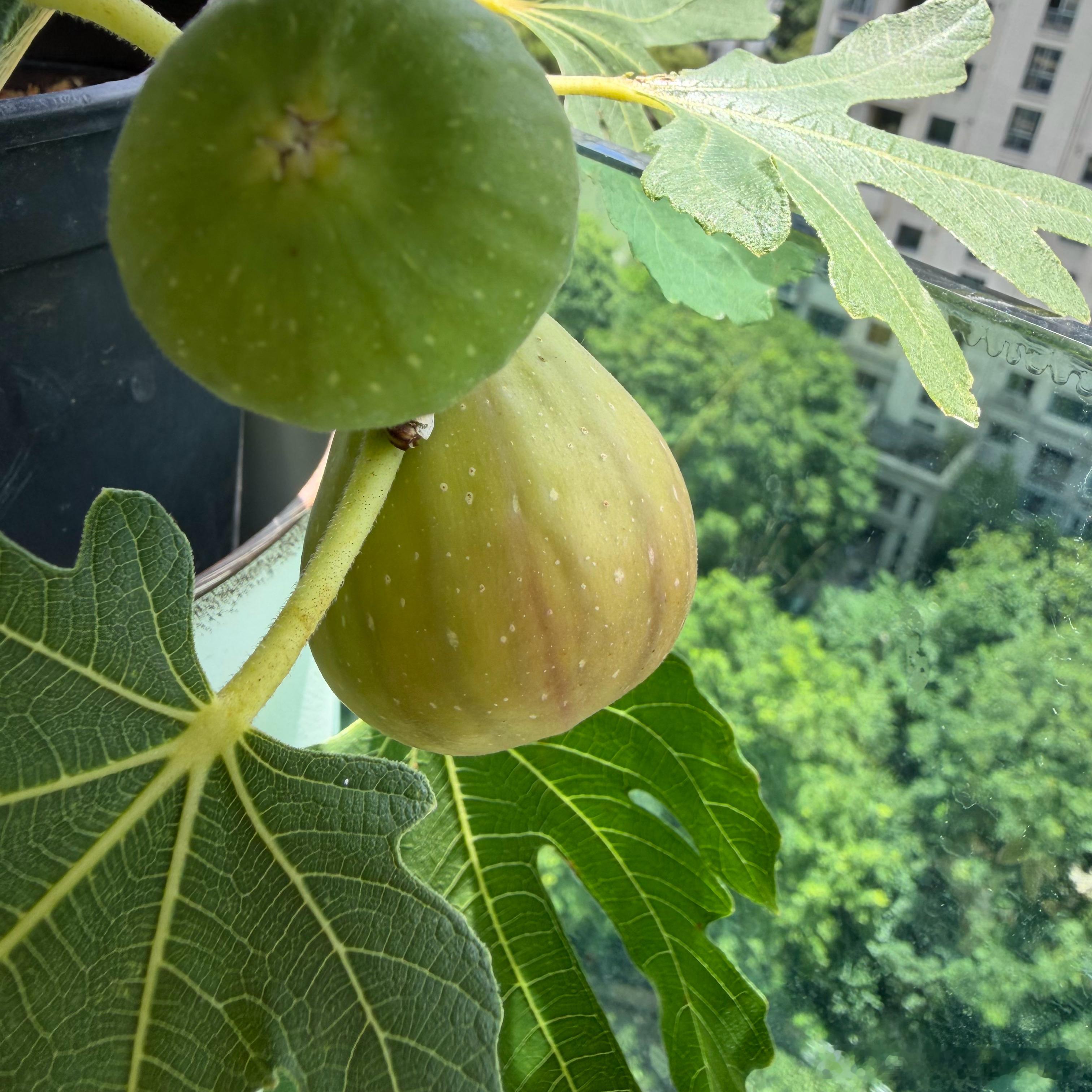 等待中……今天有点低落的寂寥 