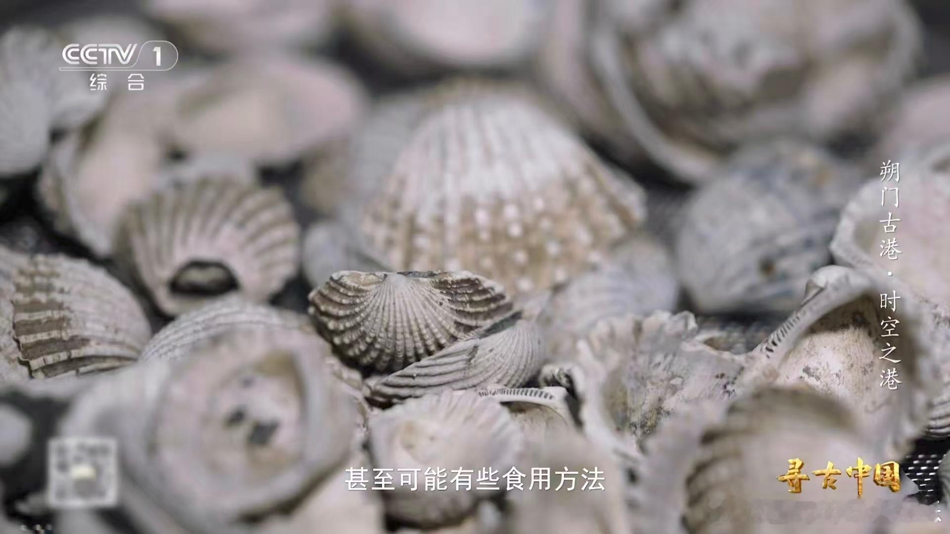 温州一千多年前就流行嗦螺了古人也吃血蛤去温州旅游必懂小知识！当地招牌海鲜小吃嗦螺