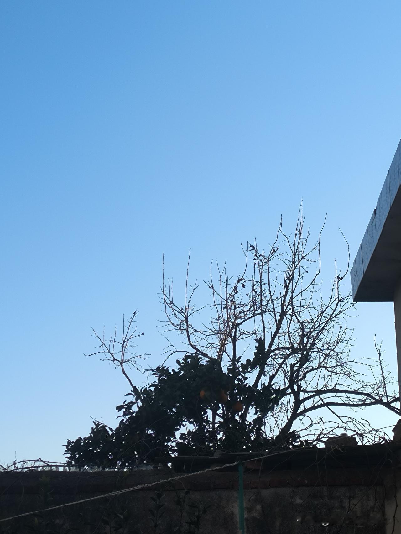 不要忘了。
话总是带着能量。
一旦说出口就收不回来了。
无论是有意的还是无意的。