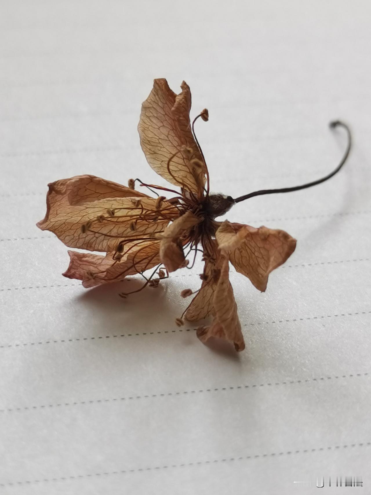 一个伟大的建筑师，不但赋予建筑的功能性和装饰性，而且赋予建筑以灵魂，哪怕成为废墟