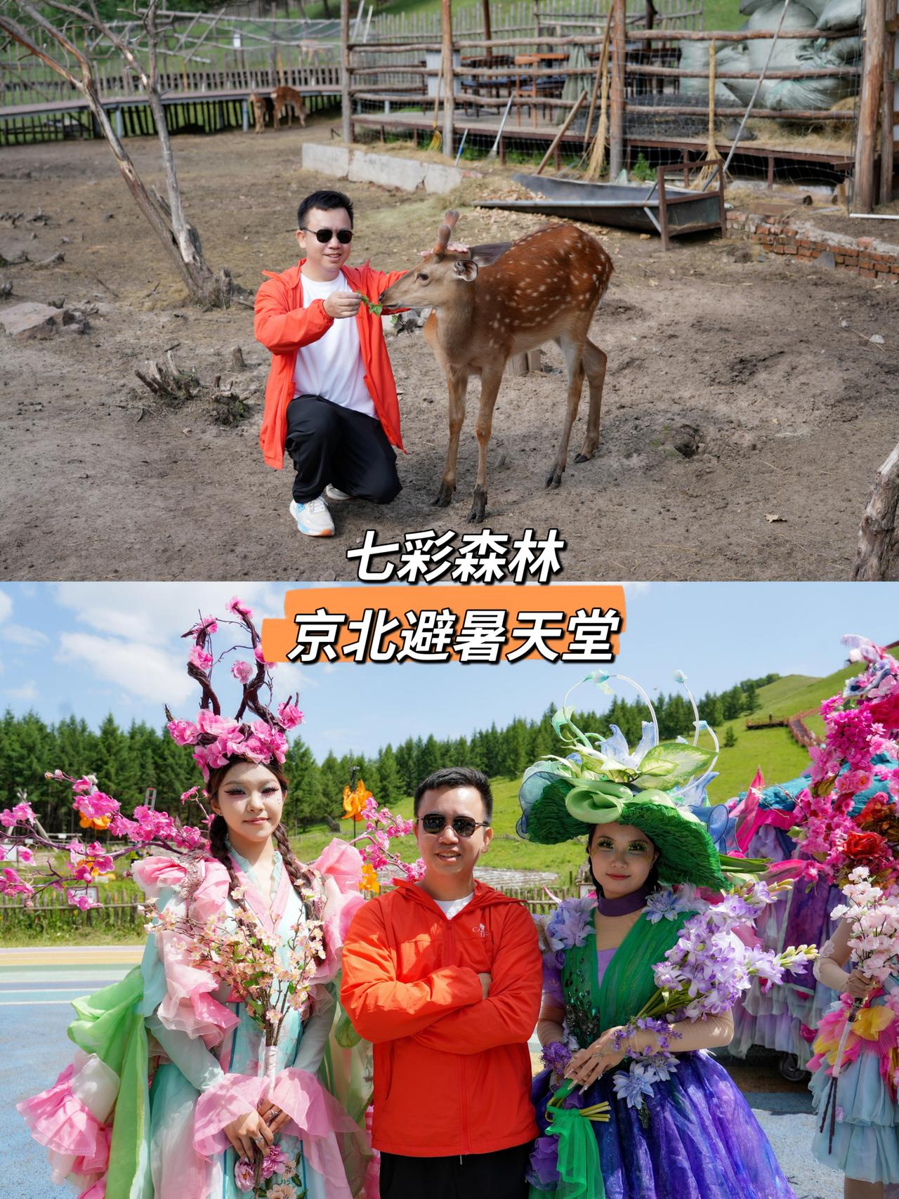 北京周边避暑天花板找到了✨16℃承德丰宁七彩森林，攻略请收好

盛夏闷热，不如找