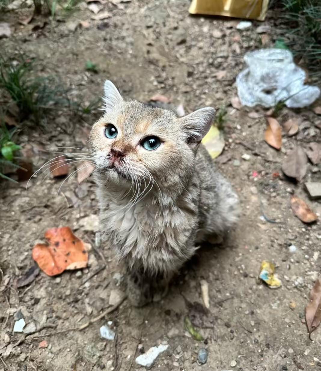 善良的人总会心疼弱者。人越穷越善良。