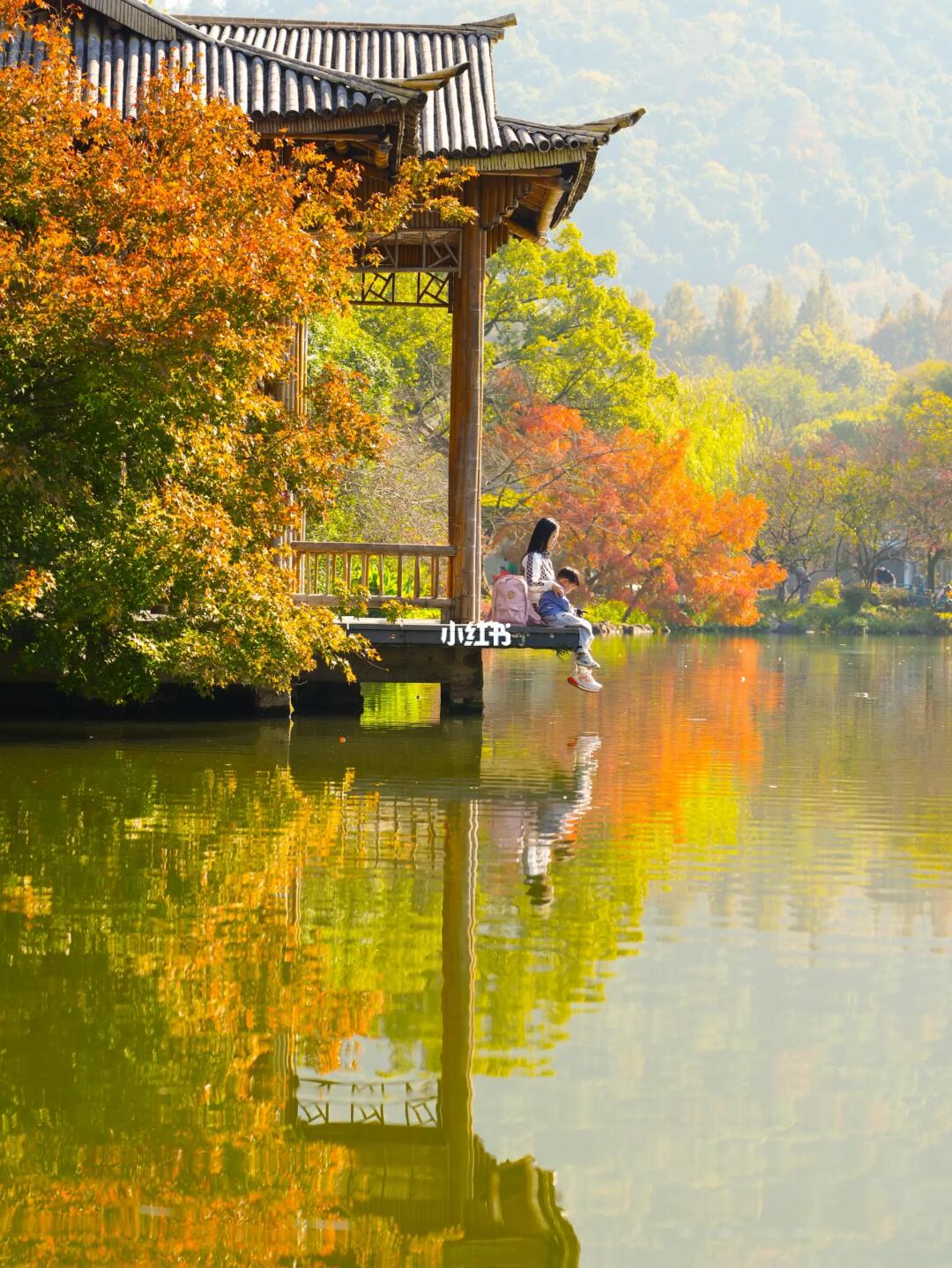 不累人的‼️玩遍西湖一圈懒人/溜娃路线