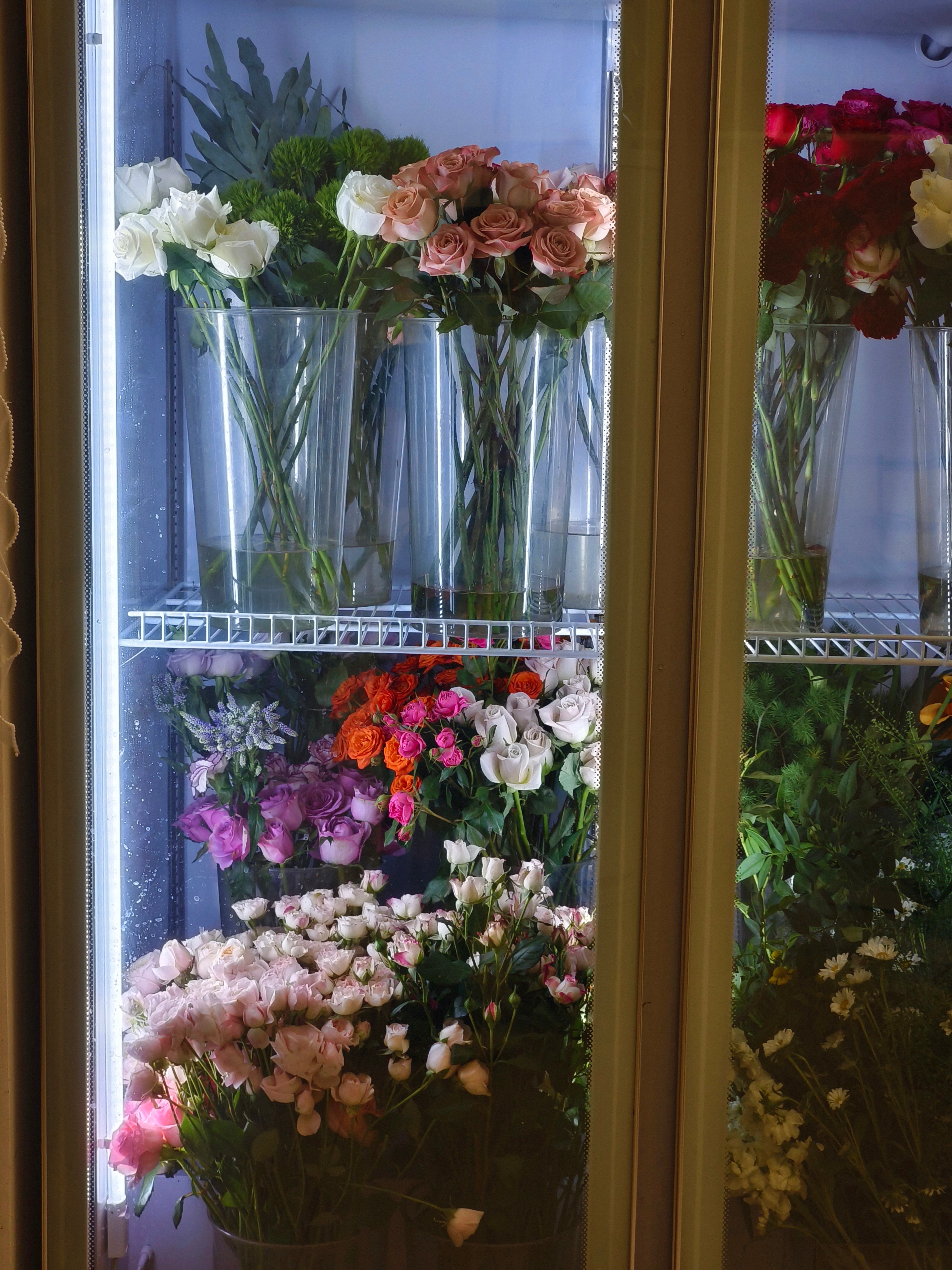 漂亮的花花～ ​​​