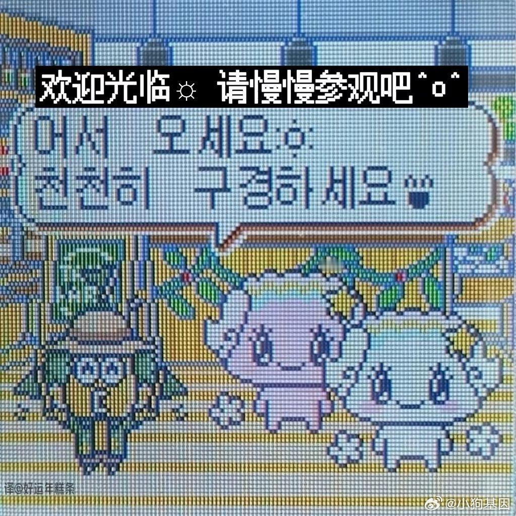 命运给了你天赋，却没有赐予你坦途。