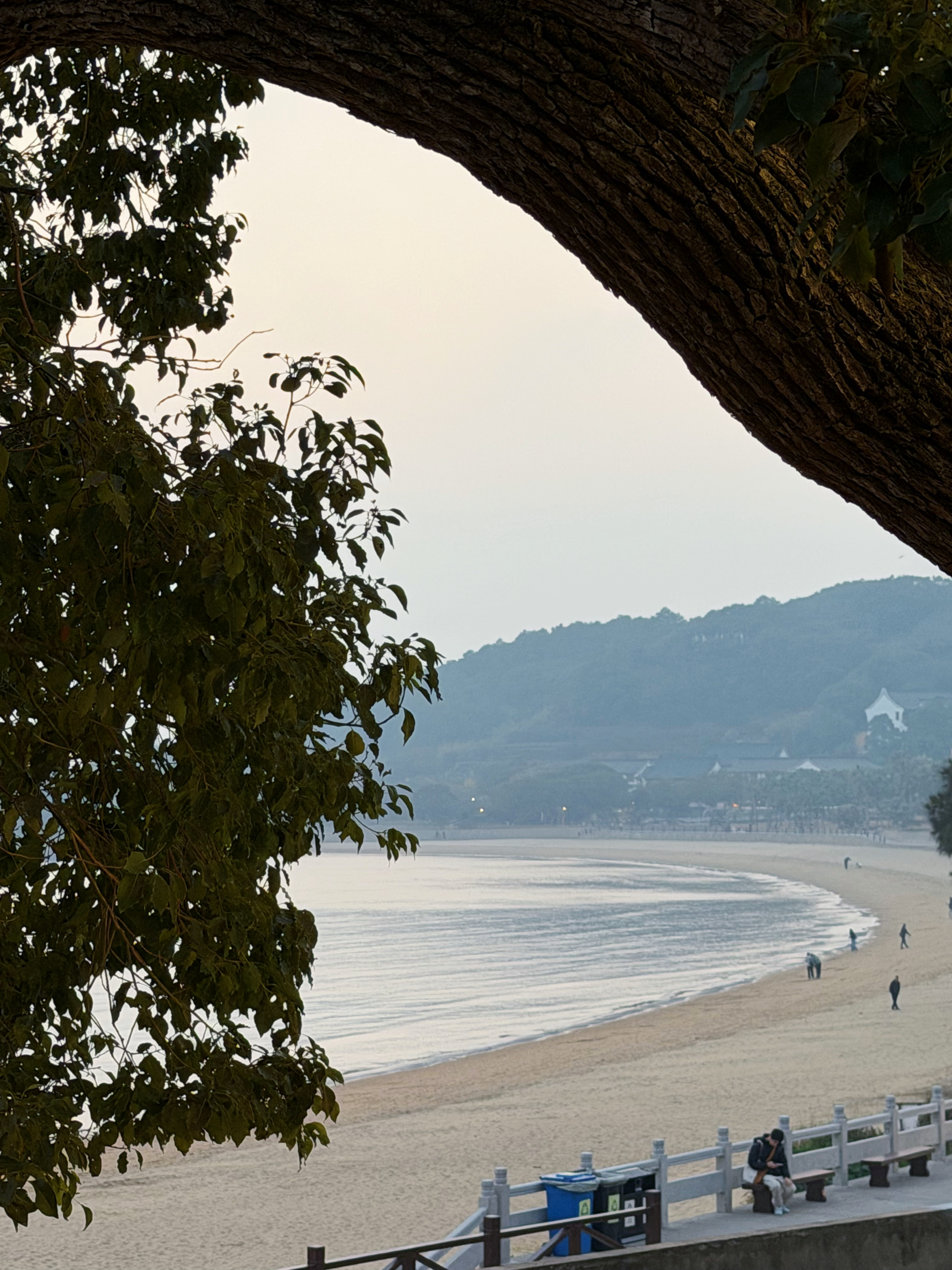 我们一同喜欢着现在合你在一起