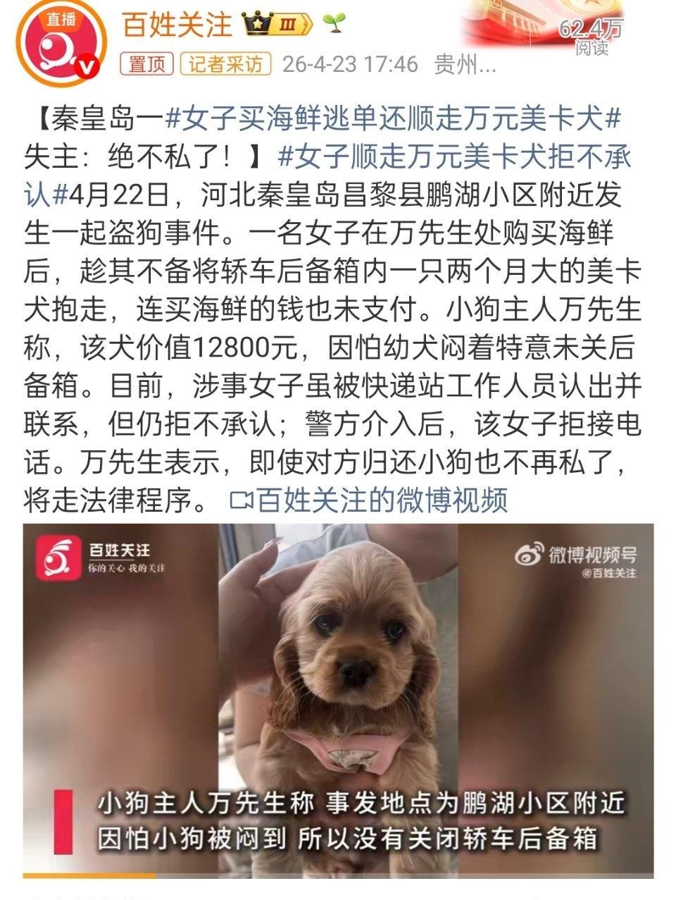 盗窃罪为啥不拘留？直接从别人车里偷走了12800元的名贵宠物犬，结果还要走法律程