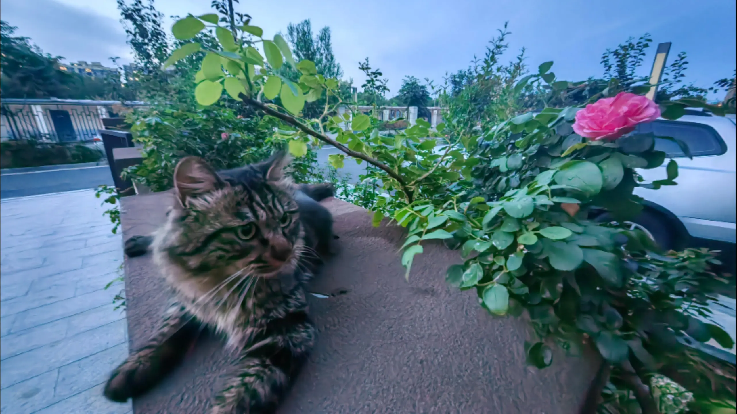 遗憾吗？一晃又一秋，有的人再见，有的人再也不见。人间的面见一面少一面...